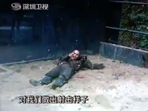 中国の動物園で麻薬中毒者がダチョウを襲った。