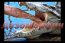 Крокодил - Дезоморфин
