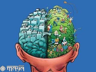 brain and drug brain